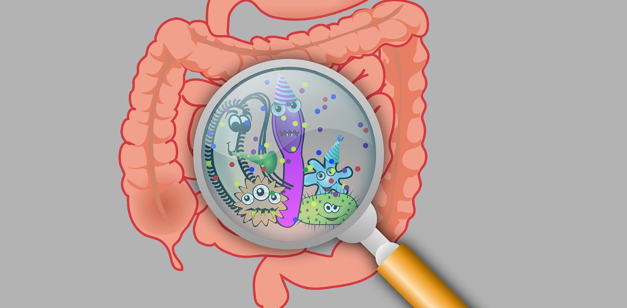 Кишечный микробиом: что важнее – отбор или действие среды?
