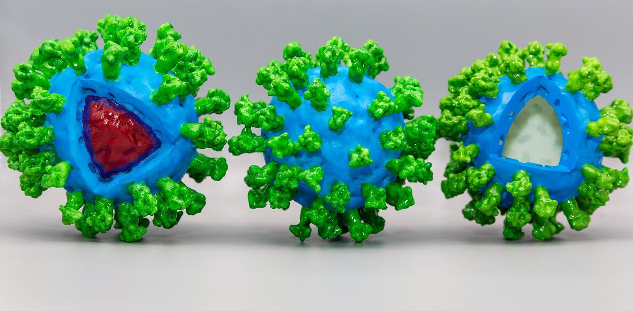 Новая мишень для вакцин против COVID-19 – белки репликации коронавируса