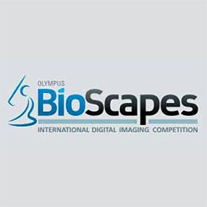 Olympus BioScapes