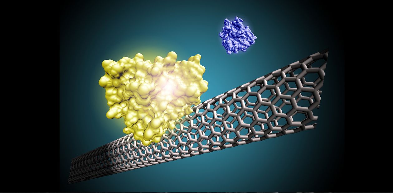 Имплантируемые биодатчики на основе нанотрубок – уже реальность!