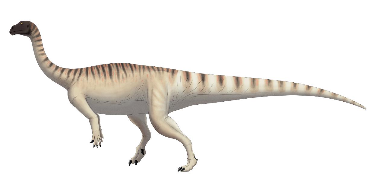 Динозавры «паслись» стадами почти 200 млн лет назад