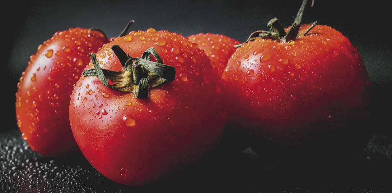 Как сделать «апгрейд» окультуренным помидорам