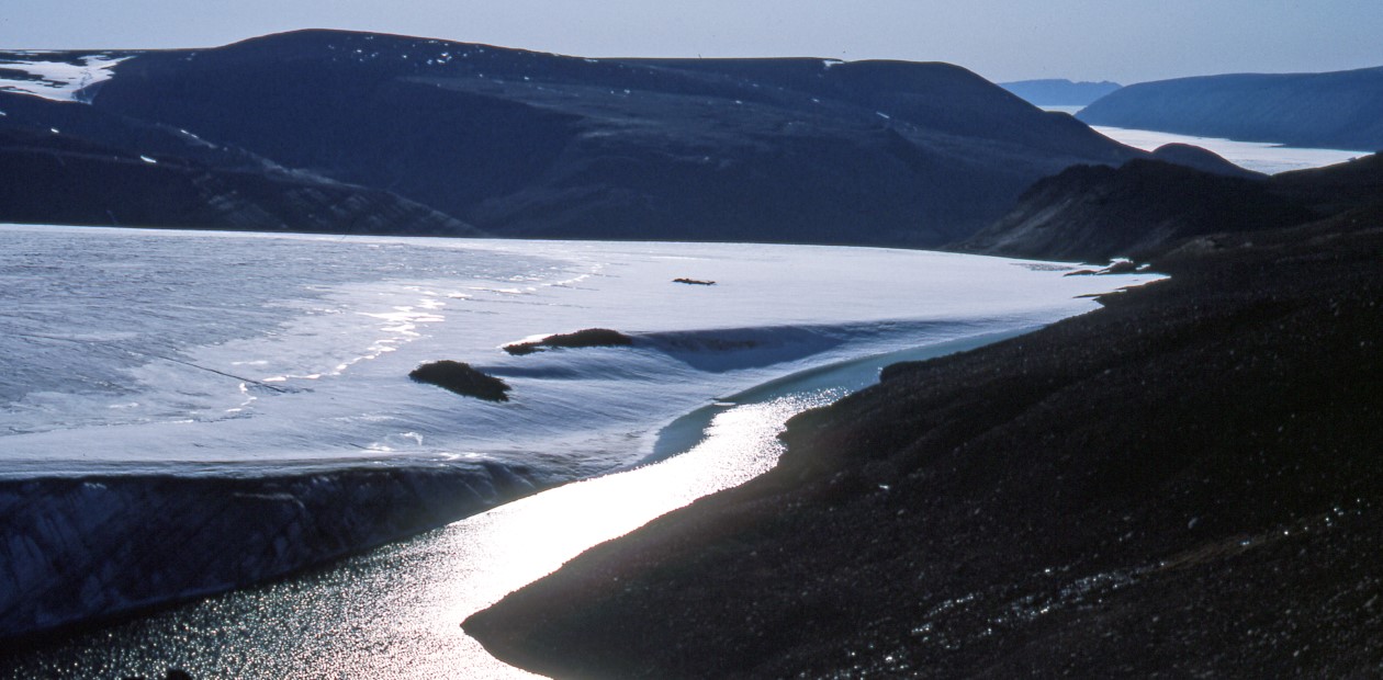 Древняя ДНК «рассказала», каким был живой мир Гренландии 2 млн лет назад