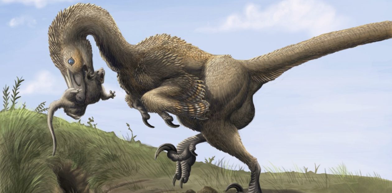 Млекопитающие вышли на свет, когда динозавры его покинули