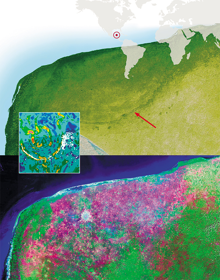 Ударный кратер Чикскулуб частично скрыт под осадочными породами на полуострове Юкатан в Мексике. Вверху – затененное рельефное изображение северо-западного угла полуострова, полученное на основе данных радиолокационной топографии Шаттла (SRTM). Край кратера отмечен впадиной, «обведенной» темно-зеленой полукруглой линией. Внизу – снимок спутника Landsat, на котором разным цветом, соответствующим разным инфракрасным диапазонам, показаны различные типы растительности и почвенного покрова. На этом снимке впадина не видна. © NASA. Образ гравитационной аномалии в районе кратера Чикскулуб, созданный на основе соответствующей карты NASA. © Milan Studio