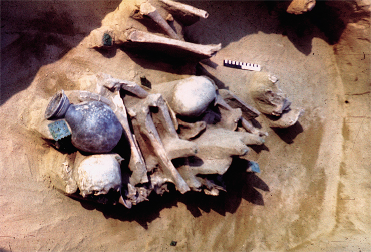 Вторичное погребение двух умерших. В центре сложены крупные трубчатые кости, сверху на них – черепа. Здесь же найдены остатки разрозненного наборного пояса, глиняные сосуды и бусины из бронзы, халцедона и стекловидной пасты