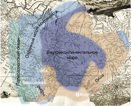 Палеогеографическая карта Сибири (ордовик): мы живем на дне древнего моря!