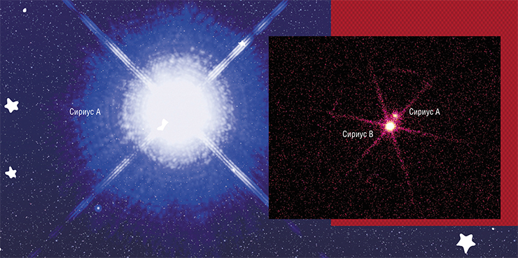 Сириус А – самая яркая звезда в нашем ночном небе, имеет крошечную звезду-компаньона, белого карлика Сириуса B. Две звезды вращаются вокруг общего центра масс с периодом оборота, близким к 50 годам. Диаметр белого карлика составляет всего 12 тыс. км, а его светимость примерно в 10 000 раз меньше, чем Сириуса А. Первоначально система Сириуса состояла из двух бело-голубых звезд спектрального класса В: масса Сириуса B составляла пять масс Солнца, Сириуса A – две массы Солнца. Около 120 млн лет назад Сириус B превратился в красного гиганта, а затем, сбросив внешнюю оболочку, перешел в свое нынешнее состояние. Сегодня его масса примерно равна массе Солнца – это один из самых тяжелых известных белых карликов. Credit: NASA, ESA, H. Bond (STScI) and M. Barstow (University of Leicester). Сириус B намного тусклее Сириуса А, так что его можно заметить лишь в большой оптический телескоп, в отличие от звезды-компаньона, хорошо видимой невооруженным глазом. Однако для орбитальных рентгеновских телескопов ситуация совершенно иная. На таком изображении меньший по размеру, но более горячий Сириус B предстает как чрезвычайно интенсивный, яркий источник рентгеновского излучения. На месте Сириуса А виден более слабый источник этого излучения – его наличие может быть связано с тем, что рентгеновский детектор частично воспринимает ультрафиолетовое излучение этой звезды. Credit: NASA/ CXC/ SAO