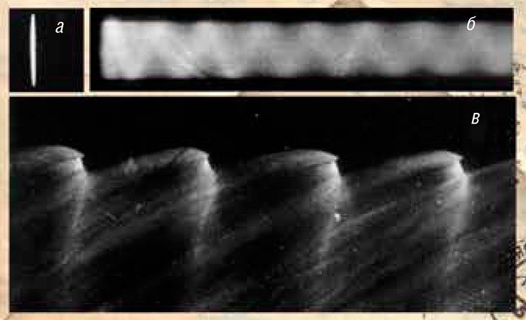 а – фронт детонационной волны в классическом представлении; б – явление спиновой детонации, обнаруженное в 1926 г. На фото – ярко светящаяся «голова» спина, вращающаяся по спирали; в – фотография, выполненная Б. В. Войцеховским при исследованиях спиновой детонации в 1957—1958 г. Фото предоставлены А. А. Васильевым