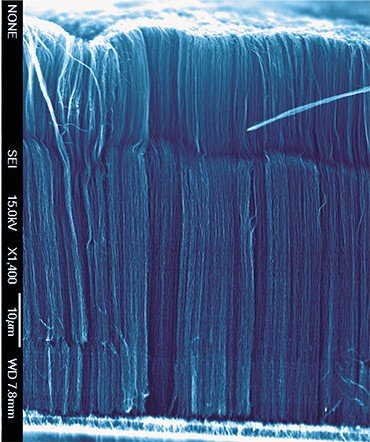 Массив углеродных нанотрубок на кремниевой подложке. Вертикально ориентированные нанотрубки длиной 100 мкм и диаметром 20 нм синтезировались из смеси ацетонитрила и ферроцена при температуре 800 °C. Электронная микроскопия. Фото В. Даниловича