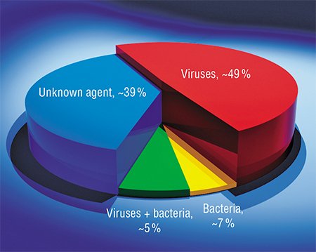 Viruses appeared to be the main cause of acute enteric diseases in the young children (under 3 years of age) hospitalized to Novosibirsk clinics (data for 2005—2007)