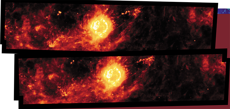 Кассиопея А – это остаток некогда массивной звезды, погибшей в результате взрыва сверхновой 325 лет назад. Снимки с космического телескопа «Спитцер», сделанные с интервалом в один год в 2003–2004 гг., показывают, как в окружающих Кассиопею А пыльных облаках гаснет свет от вспышки, случившейся около 50 лет назад. Такое явление – «инфракрасное эхо» – возникает, когда свет, проникая сквозь скопления пыли, нагревает их, заставляя последовательно светиться в инфракрасном диапазоне подобно цепочке рождественских лампочек. Результат – оптическая иллюзия, что пыль разлетается со скоростью света. Это инфракрасное эхо, простирающееся более чем на 50 световых лет от Кассиопеи А, – самое большое из когда-либо виденных. © NASA/JPL-Caltech/University of Arizona