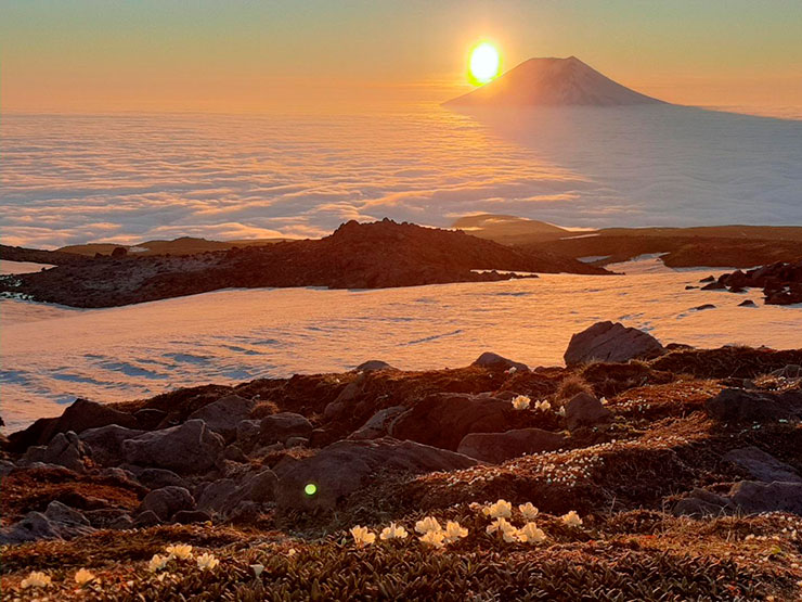 Райский вид на вулкан Алаид: облака, снег, цветы