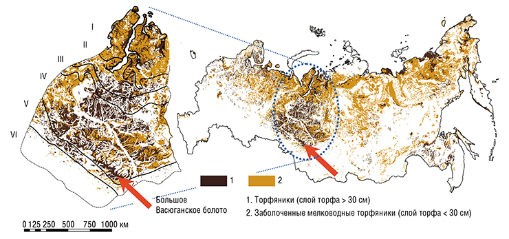 Торфяники, в том числе мелкозалежные, на территории Западно-Сибирской равнины (справа, воспроизведено с разрешения Института лесоведения РАН). Слева – распределение и зональность торфяников и рек на Западно-Сибирской равнине: I – зона полигональных болот, II – плоскобугристых мерзлых, III – крупнобугристых, IV – верховых, V – низинных эвтрофных и мезотрофных, VI – тростниково-осоковых болот и солончаков. По: (Liss et al. 2001; Kirpotin et al., 2021)