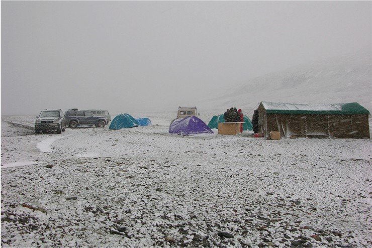 Северо-Западная Монголия. Июнь 2005 г.