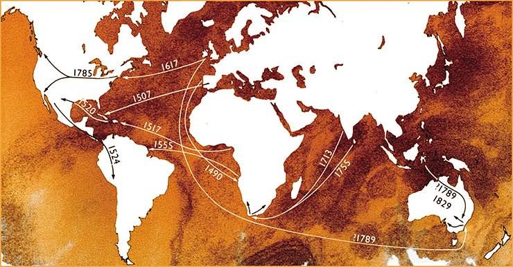 Smallpox spread over America, South Africa, and Australia with colonization of these areas by Europeans. As for the smallpox outbreak among Australian aborigines in 1789, it could be brought from a ship that came either from Great Britain or from the Islands of East India. Dates of the cases of smallpox importation that caused epidemics are shown. F. Fenner et al., 1988. P. 232. With permission from World Health Organization
