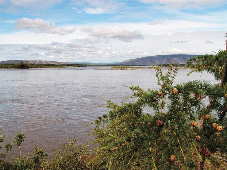 Нижнее течение знаменитой Индигирки – реки на востоке Якутии, берущей начало на северных склонах Халканского хребта. Обогнув Момский хребет, Индигирка течет по низменности и становится судоходной 