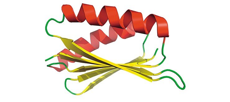 Top7 – первый белок, обязанный своим происхождением не природе, а методам компьютерного анализа, – был создан в 2003 г. учеными из Вашингтонского университета (Сиэтл, США) с использованием методов структурной биоинформатики. База данных PDB