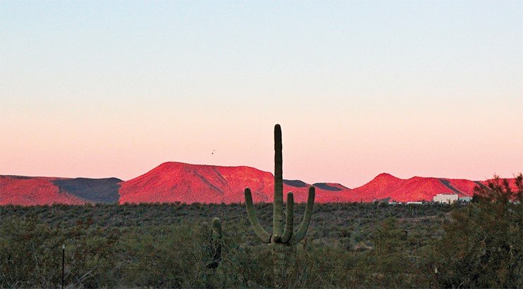 Утро в Аризонской пустыне, лежащей на пути к Гранд-Каньону, окрашивает горы на горизонте в цвет зари.  Характерная деталь пейзажа – экзотическая степная растительность, такая как кактусы, достигающие в высоту 5—7 м