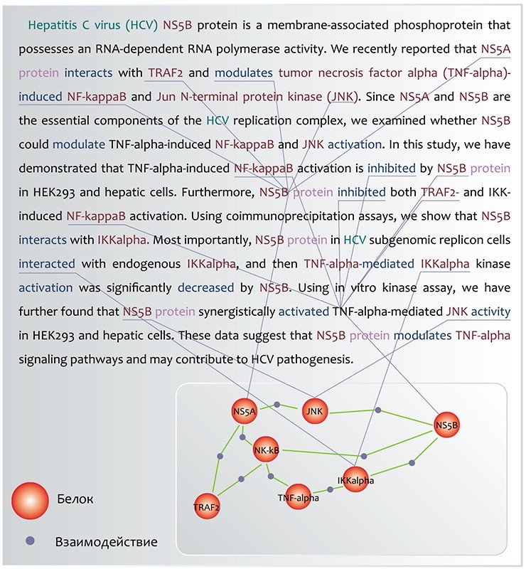 Пример автоматического поиска заданных объектов (белков) и фактов взаимодействия между ними в тексте научной публикации