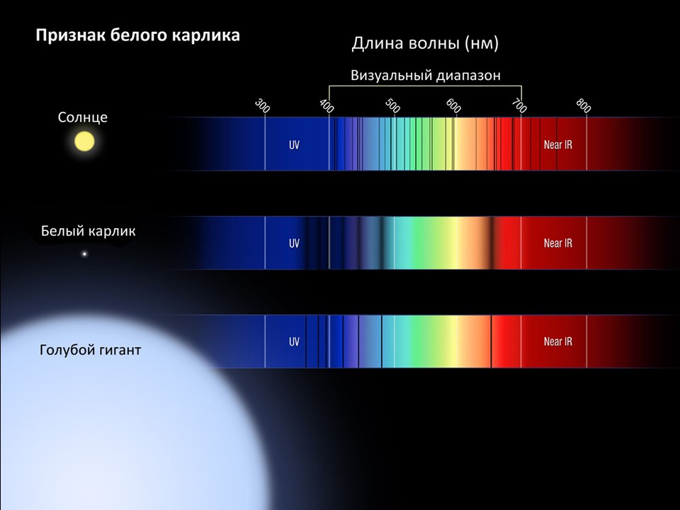 Спектры звезд карликов и гигантов различаются шириной спектральных линий