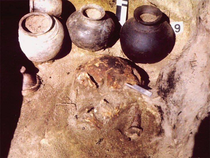 Фрагмент мужского погребения. В центре — лицевая часть черепа, обставленного четырьмя глиняными сосудами. Рядом с крышкой от сосуда найдена кучка железных и костяных наконечников стрел 