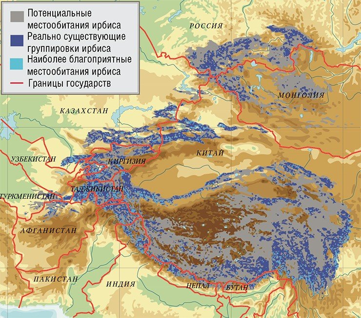 Снежный барс – исконный обитатель высокогорных районов Центральной Азии. Его ареал охватывает территории 13 государств. По: (Jackson, Hunter,1997) 