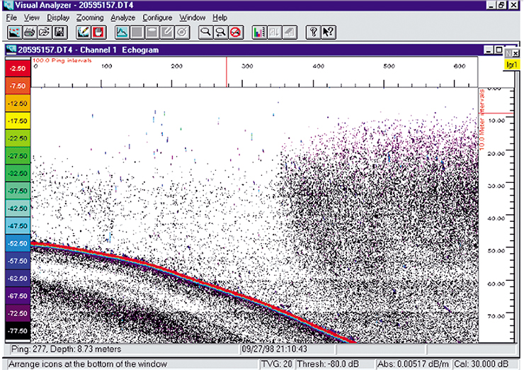На эхограмме показана граница скопления макрогектопуса в мелководной зоне озера Байкал. По оси Х – время в акустических временных интервалах (пингах); по оси Y – глубина, м