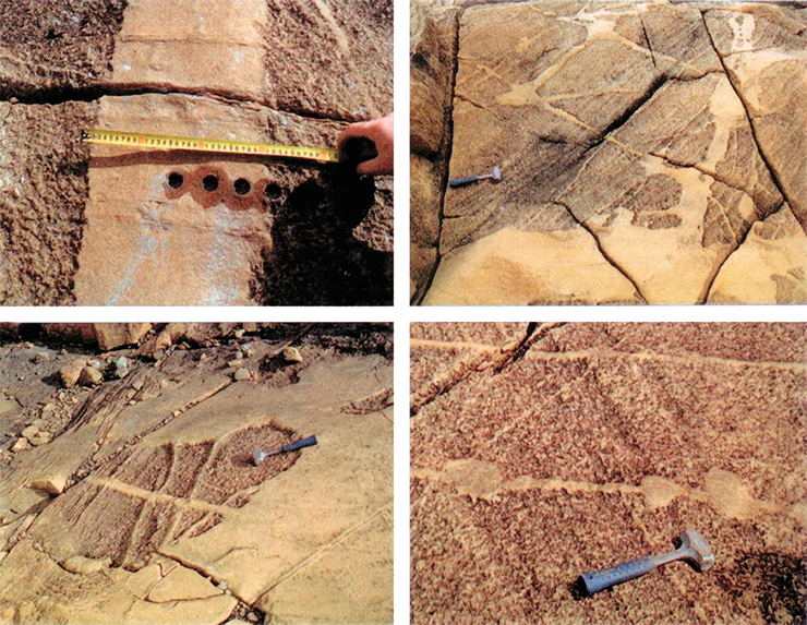 Dunites and spinel harzburgites in the mantle section of ophiolites (Voikar–Synya complex, Polar Urals)