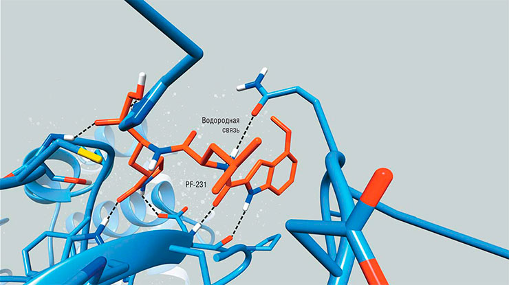 Ингибитор PF-231 внутри активного центра коронавирусной протеазы (Mpro). Созданный еще в 2004 г., он способен блокировать Mpro не только возбудителя атипичной пневмонии, но и всех последующих коронавирусов, включая SARS-Cov-2