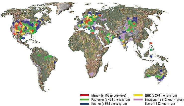 Карта, на которой показано, куда поставляет свои материалы Японский центр биоресурсов. В Россию и Африку биоресурсы практически не поставляются