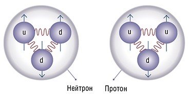Нуклоны – компоненты ядра любого атома – обладают внутренней структурой. Каждый состоит из трех связанных кварков u- и d- типов 