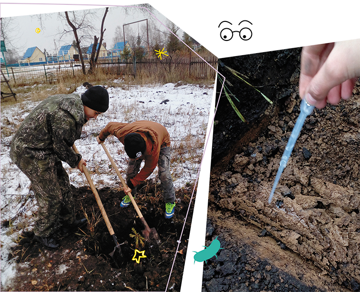 Школьники из с. Кыштовка (НСО) проводят отбор образцов почвы. 2019 г.