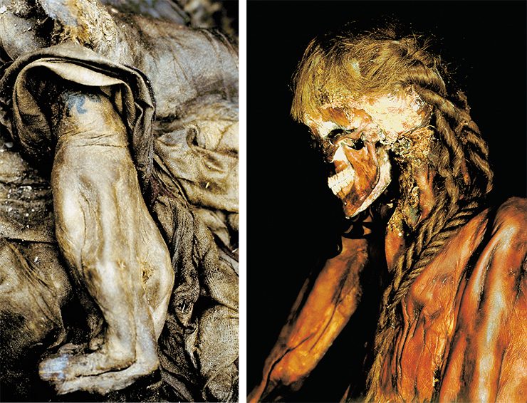 Кисть руки мумии женщины (слева). Курган № 1, могильник Ак-Алаха-3. Мумия мужчины (справа). Курган № 3, могильник Верх-Кальджин-2