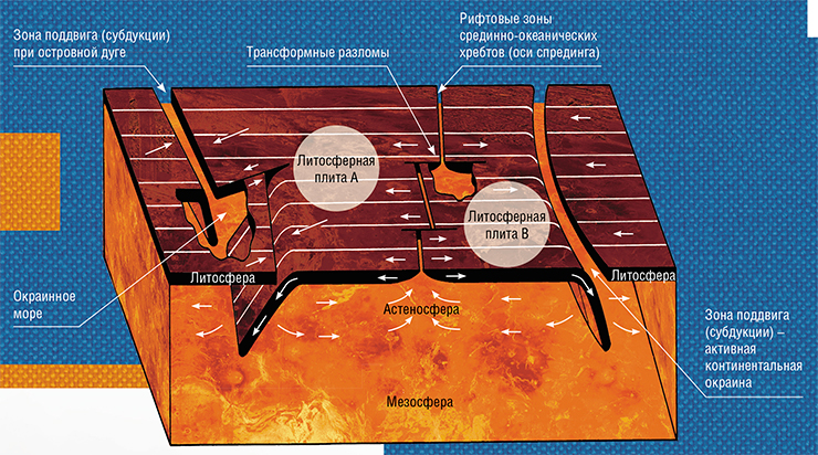 Тектоника литосферных плит подразумевает их механическое взаимодействие с мантийной «подложкой». Под влиянием конвекции в астеносфере они перемещаются по горизонтали. В зонах поддвига (субдукции) плиты опускаются в мантию, а в зонах спрединга образуется новая океаническая кора – центральные (рифтовые) структуры срединно-океанических хребтов. По: (Айзекс, Оливер, Сайкс, 1974)