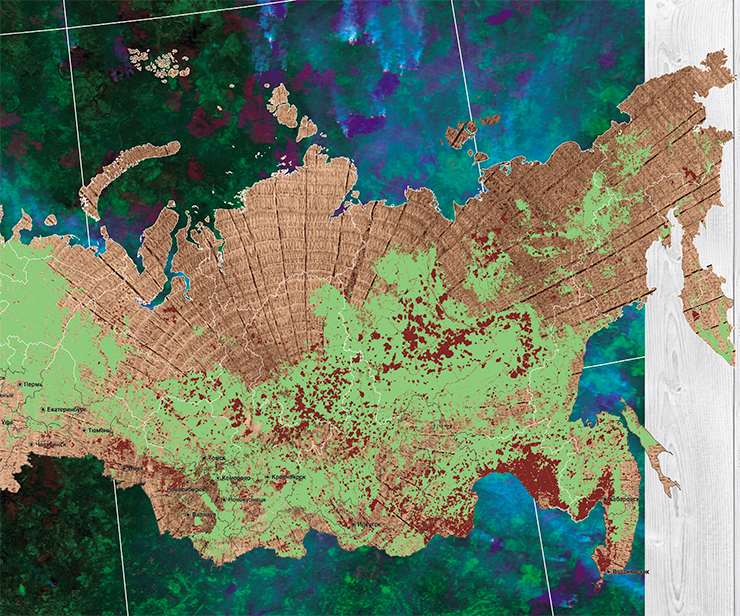 The map shows the forest areas (marked in red) damaged by wildfires in the Asian part of Russia in 2012–2019. One should bear in mind that low-intensity ground fires, especially in flame-resistant pine and larch forests, usually cause no substantial destruction of forest stands. The real magnitude of the wildfires impact can only be assessed by analyzing time series of satellite images. The map was compiled on the basis of satellite monitoring data (Sukachev Forest Institute, SB RAS, Krasnoyarsk)