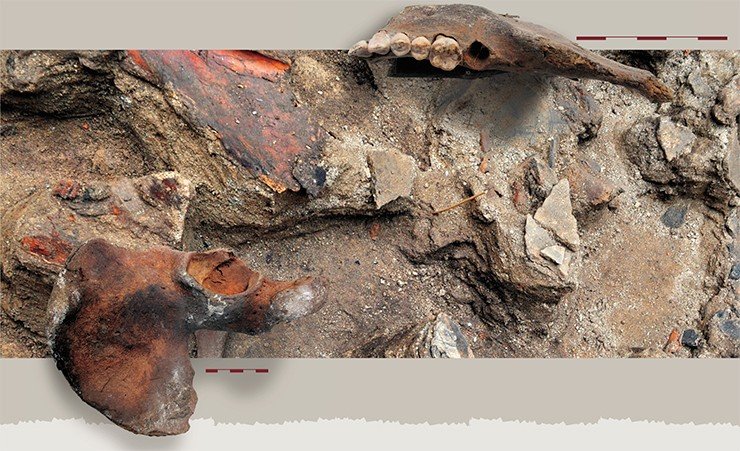 Находку на дне могильной ямы 11-го Ноин-Улинского кургана костных останков молодой девушки нельзя назвать иначе, как чудо. Ведь антропологический материал – чрезвычайная редкость для Ноин-Улинского могильника. Слева – кость таза, вверху – фрагмент челюсти 