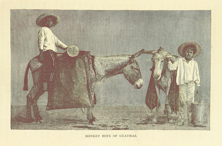 Рисунок из кн. F. A. Ober «Travels in Mexico and Life among the Mexicans ... With 190 illustrations, etc» (London, 1890). British Library