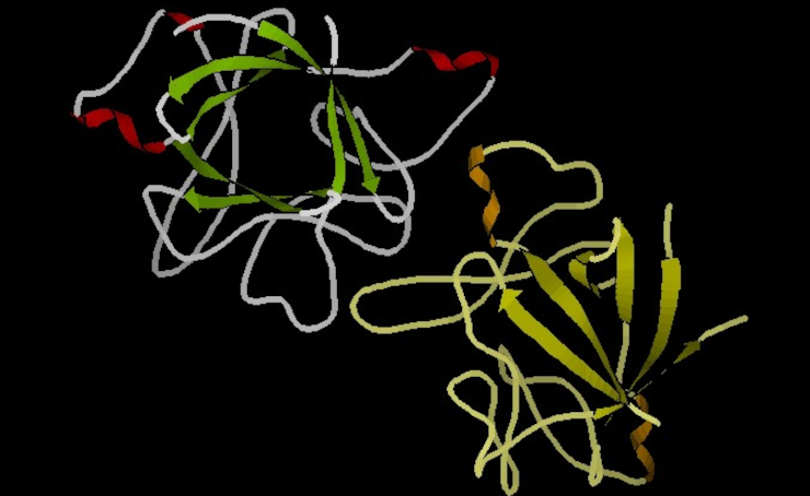 Анакинра – антагонист человеческого рецептора провоспалительного цитокина IL-1. Этот противовоспалительный препарат предлагалось использовать для лечения тяжелых пациентов, страдающих COVID-19 с цитокиновым штормом. ©CC BY-SA 3.0/Selket