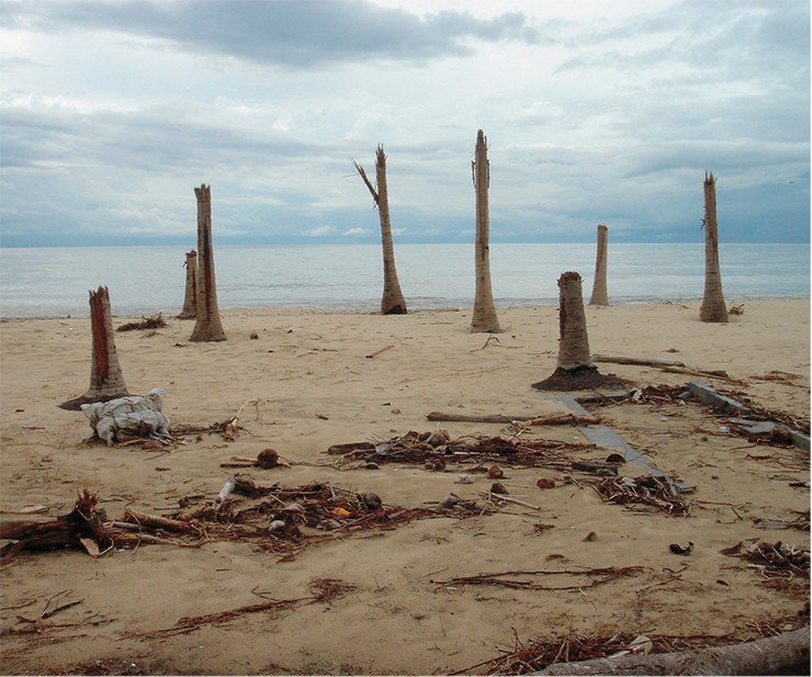 Lhoknga Beach in the northwest of Sumatra. A hundred kilometers from here in the Indian Ocean, a most powerful magnitude 9.0 earthquake broke out in the morning of December 26, 2004