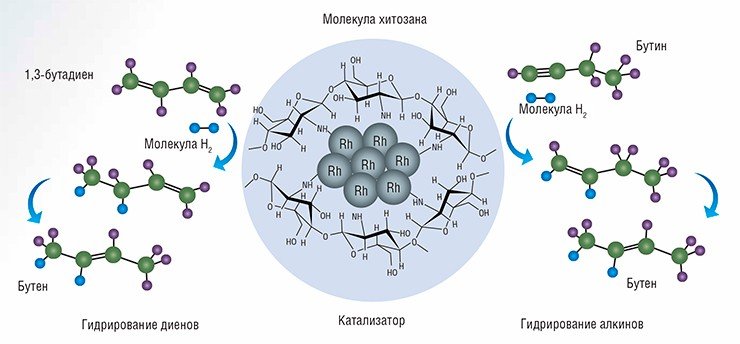 Катализатор, представляющий собой атомы родия Rh, нанесенные на полисахарид  хитозан, обладающий высокой селективностью при гидрировании тройных и сопряженных двойных углерод-углеродных связей (внизу), можно использовать для получения гиперполяризованных газов для МРТ