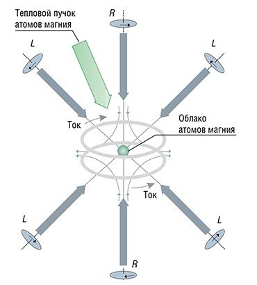 Схема магнитооптической ловушки. Токопроводящие кольца с разнонаправленными токами создают нужную конфигурацию магнитного поля. «Загружаемые» из теплового пучка атомы магния локализуются и охлаждаются в центре ловушки, где пересекаются шесть лазерных лучей с круговыми поляризациями (R – правые, L – левые)