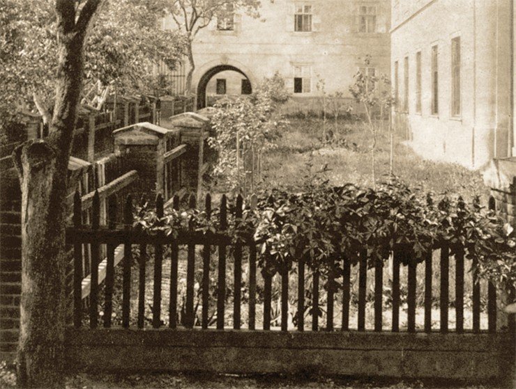 Иоганн Мендель провел свои знаменитые опыты по скрещиванию разных сортов гороха на маленьком участке в монастырском саду