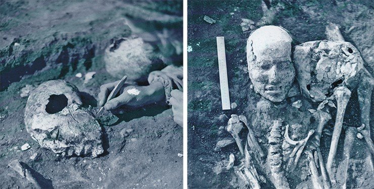 Так выглядели покрытые глиной черепа в тесинском склепе. Погребение в кургане Новые Мочаги (Минусинская котловина), 1983 г. Фото и раскопки Н. Ю. Кузьмина