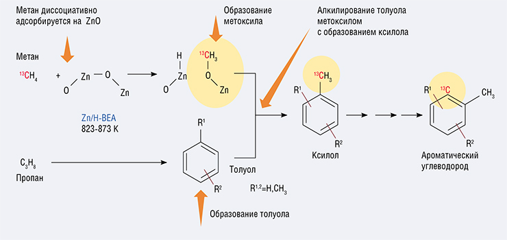 При совместной ароматизации метана и пропана на цинк-модифицированном цеолите Zn/H-BEA происходит ряд процессов. При ароматизации пропана образуются ароматические углеводороды, например, толуол. Далее образовавшийся толуол взаимодействует непосредственно с метаном – происходит алкилирование толуола метаном с образованием ксилола. Механизм этого взаимодействия заключается в том, что метан сначала диссоциирует на цинкоксидных частицах, находящихся в порах цеолита, образуя метоксильные частицы Zn-O-CH3. Метоксил, в свою очередь, непосредственно взаимодействует с толуолом, образуя ксилол. В результате углерод метана в качестве составного блока включается в структуру образовавшейся ароматической молекулы. По: (Parmon, et al. Angew. Chem. Int. Ed. 2008. V. 47. P. 4559)