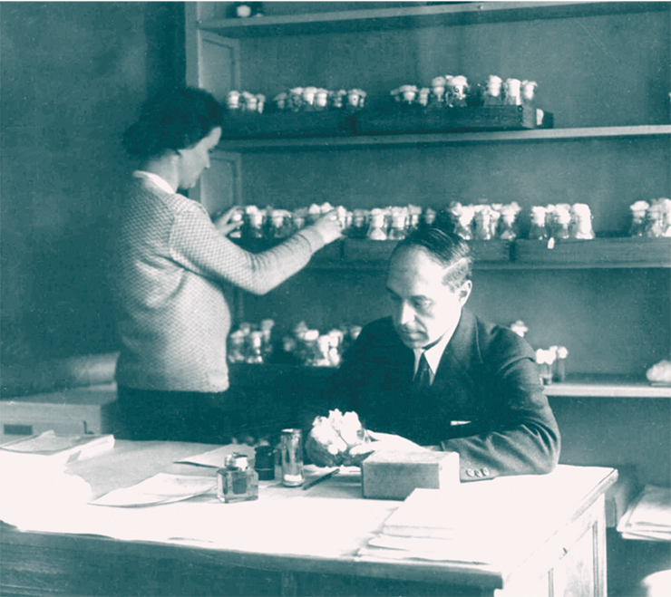 Герман Джозеф Меллер, будущий нобелевский лауреат, в 1934–1937 гг. работал старшим генетиком в московском Институте генетики АН СССР