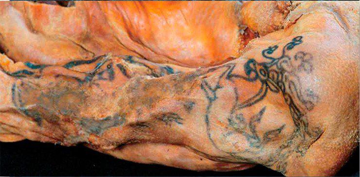 Руки и плечи женщины покрывала искусная татуировка в виде образов реальных и фантастических животных, характерных для изобразительного ряда пазырыкской культуры. Курган 1, могильник Ак-Алаха-3