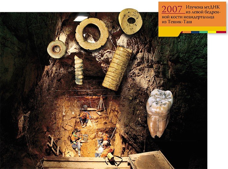 Многометровая толща отложений в Денисовой пещере хранит следы жизнедеятельности человека от эпохи среднего палеолита до средневековья