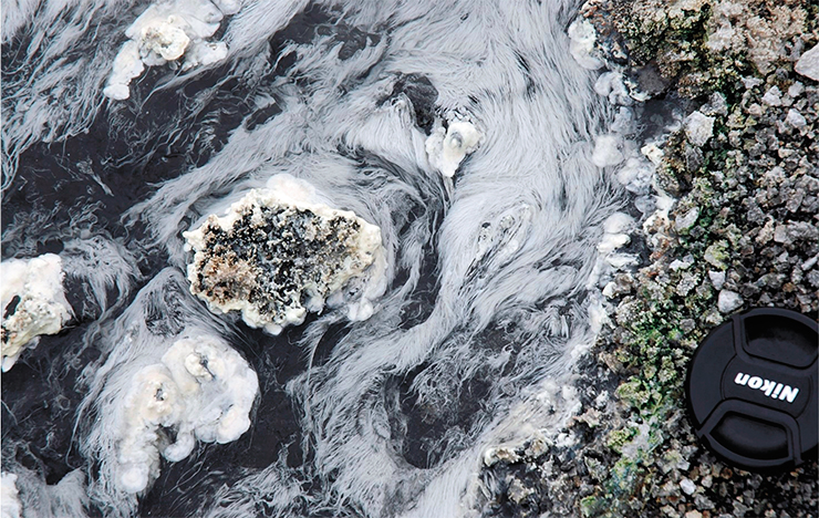Unique 15-cm sulfur bacteria found in a hot spring within the Uzon Caldera on Kamchatka. Unique thermophilic archaea, likely the first microorganisms on the Earth, also inhabit this hot spring