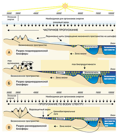 Схематические разрезы биосферы в раннем (В), среднем (Б) и позднем (А) ордовике
